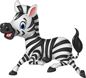 zebra