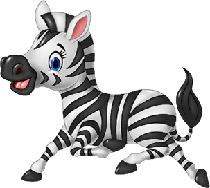 zebra